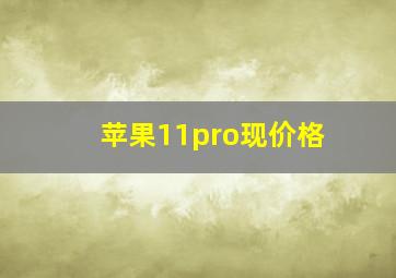 苹果11pro现价格