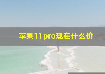 苹果11pro现在什么价