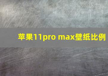 苹果11pro max壁纸比例