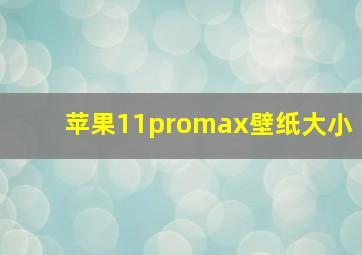 苹果11promax壁纸大小