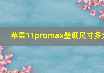 苹果11promax壁纸尺寸多大