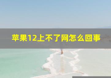 苹果12上不了网怎么回事