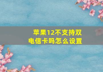 苹果12不支持双电信卡吗怎么设置