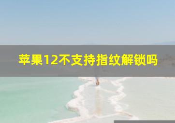 苹果12不支持指纹解锁吗