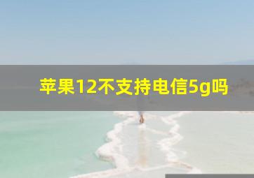 苹果12不支持电信5g吗