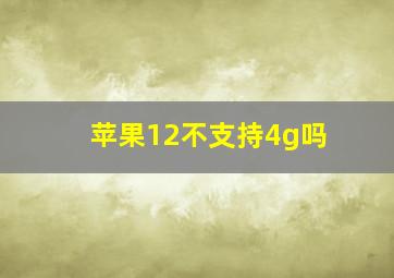 苹果12不支持4g吗