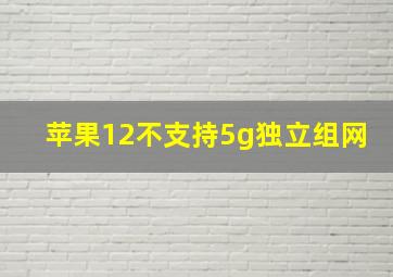 苹果12不支持5g独立组网