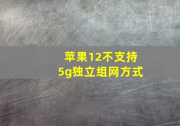 苹果12不支持5g独立组网方式