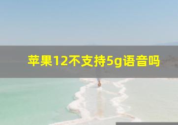 苹果12不支持5g语音吗