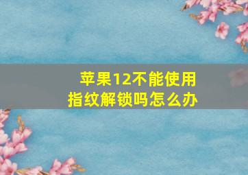 苹果12不能使用指纹解锁吗怎么办