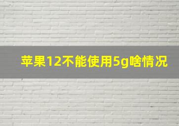 苹果12不能使用5g啥情况