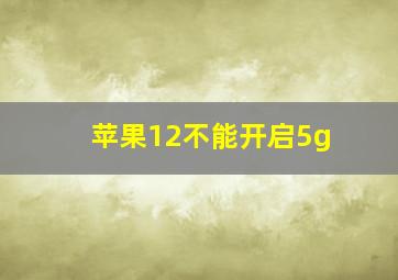 苹果12不能开启5g