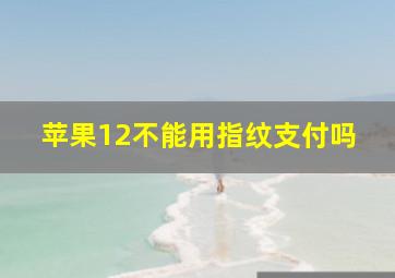 苹果12不能用指纹支付吗