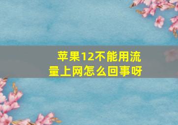 苹果12不能用流量上网怎么回事呀