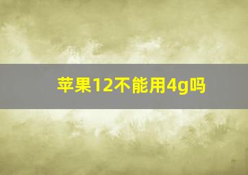 苹果12不能用4g吗