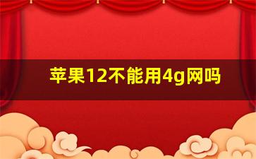 苹果12不能用4g网吗