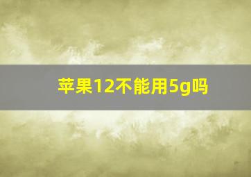 苹果12不能用5g吗