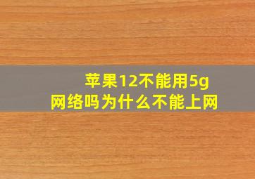 苹果12不能用5g网络吗为什么不能上网