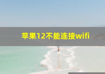 苹果12不能连接wifi