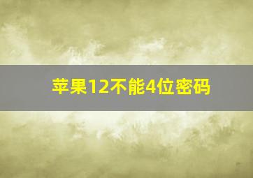 苹果12不能4位密码