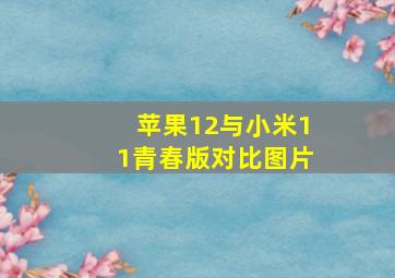 苹果12与小米11青春版对比图片