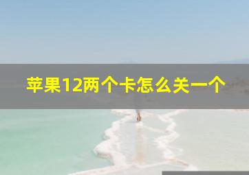 苹果12两个卡怎么关一个