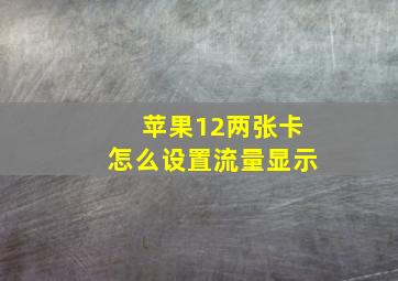 苹果12两张卡怎么设置流量显示