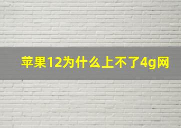 苹果12为什么上不了4g网