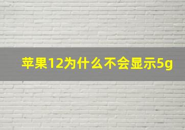 苹果12为什么不会显示5g