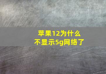 苹果12为什么不显示5g网络了