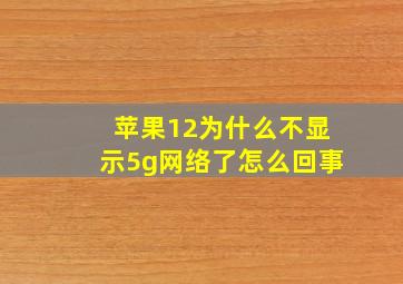 苹果12为什么不显示5g网络了怎么回事