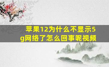 苹果12为什么不显示5g网络了怎么回事呢视频