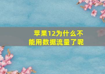 苹果12为什么不能用数据流量了呢