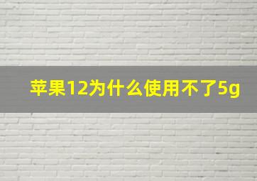 苹果12为什么使用不了5g