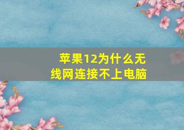 苹果12为什么无线网连接不上电脑