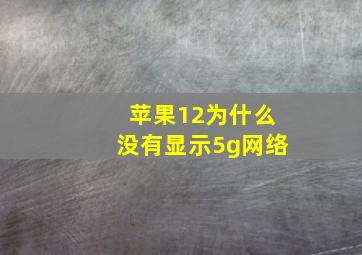 苹果12为什么没有显示5g网络