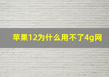 苹果12为什么用不了4g网