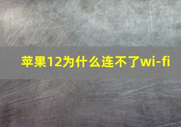 苹果12为什么连不了wi-fi