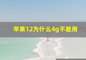 苹果12为什么4g不能用