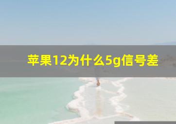 苹果12为什么5g信号差