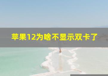 苹果12为啥不显示双卡了