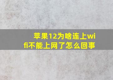 苹果12为啥连上wifi不能上网了怎么回事