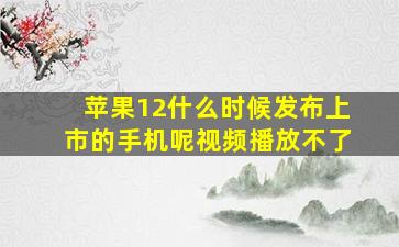 苹果12什么时候发布上市的手机呢视频播放不了