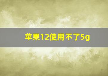 苹果12使用不了5g