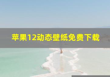 苹果12动态壁纸免费下载