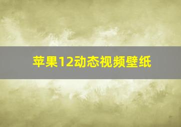 苹果12动态视频壁纸