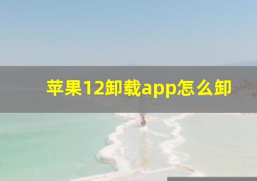 苹果12卸载app怎么卸