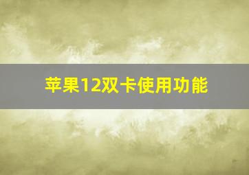 苹果12双卡使用功能