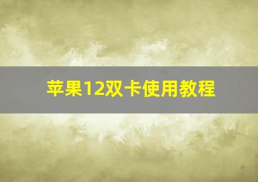 苹果12双卡使用教程