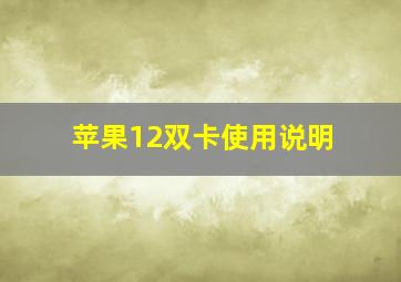 苹果12双卡使用说明